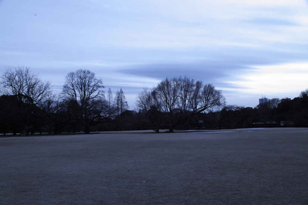 夕景