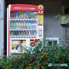 自販機