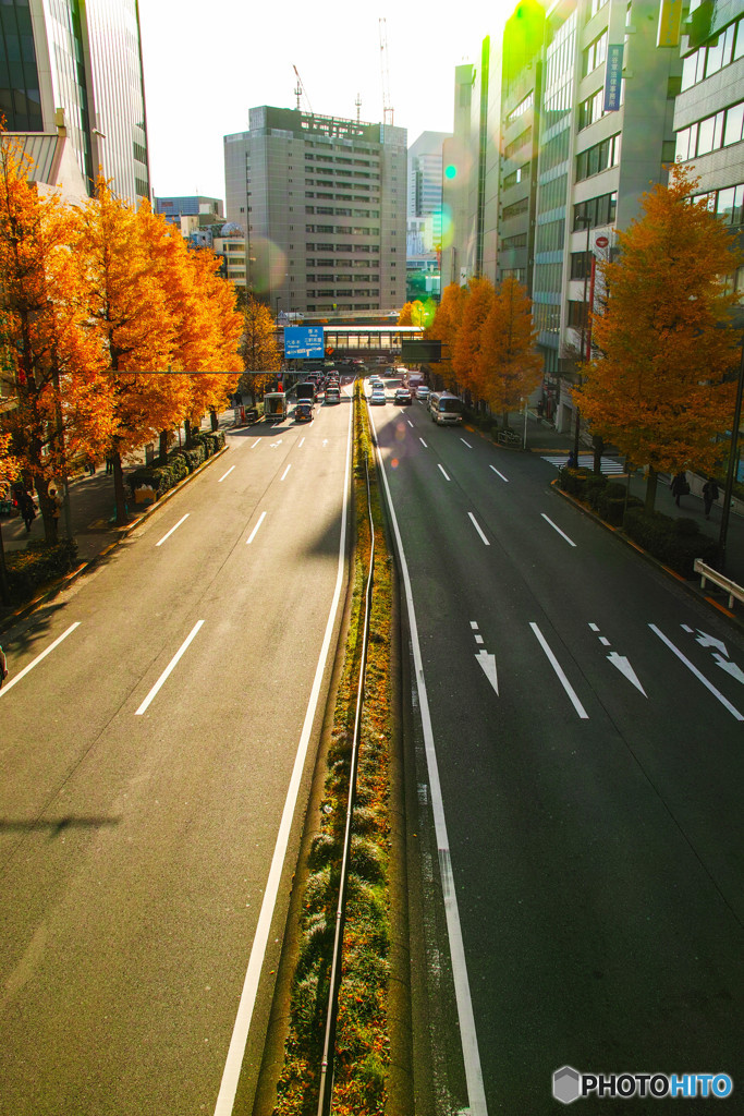 街の風景・秋・渋谷