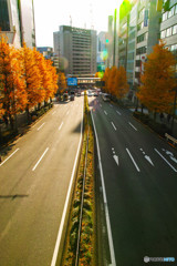 街の風景・秋・渋谷