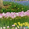 春の風景