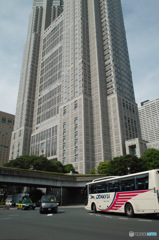 都庁を望む