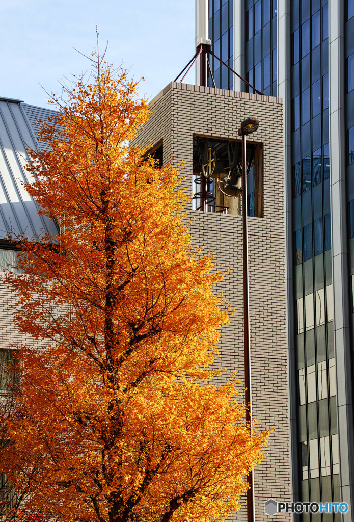 街の風景・秋・渋谷