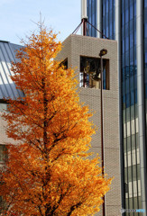 街の風景・秋・渋谷