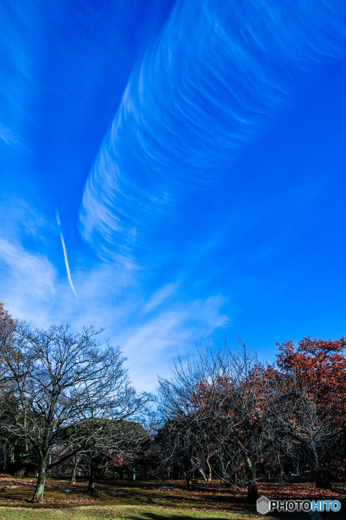 空