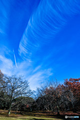 空