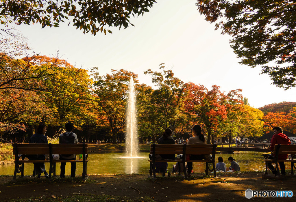 代々木公園の秋