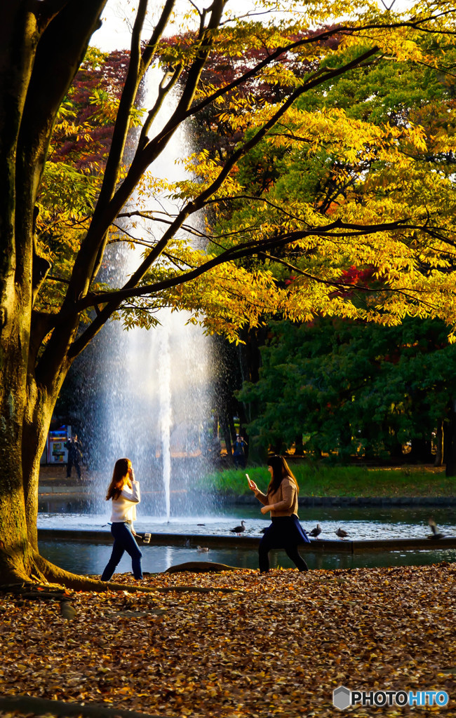 公園のひと時