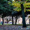 公園