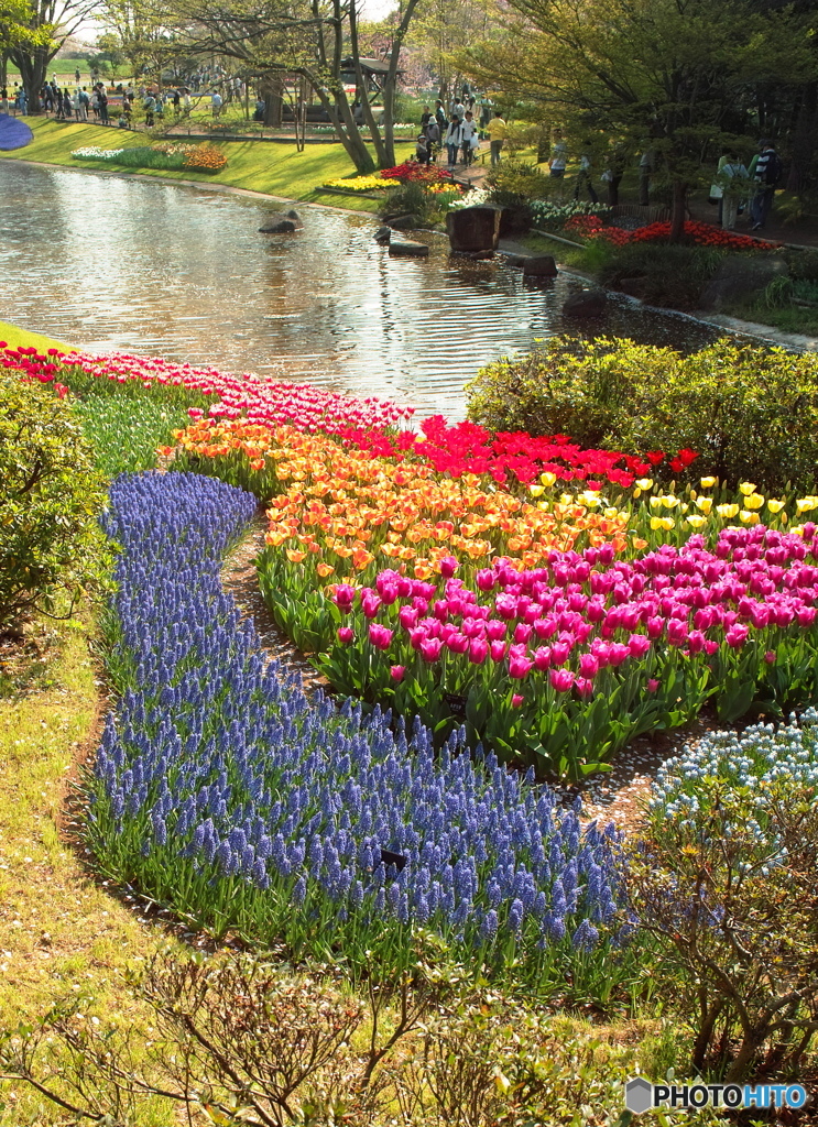 　春の公園