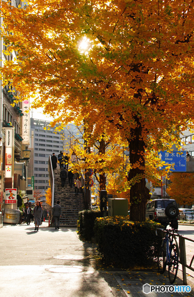 街の風景・秋・渋谷