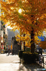 街の風景・秋・渋谷