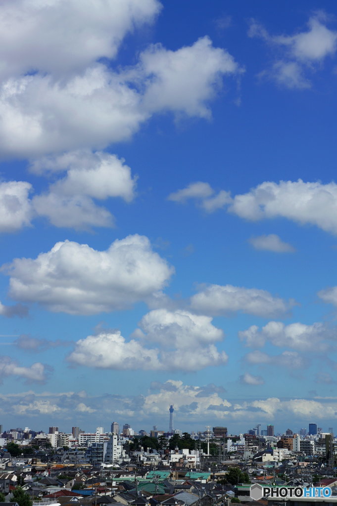 雲