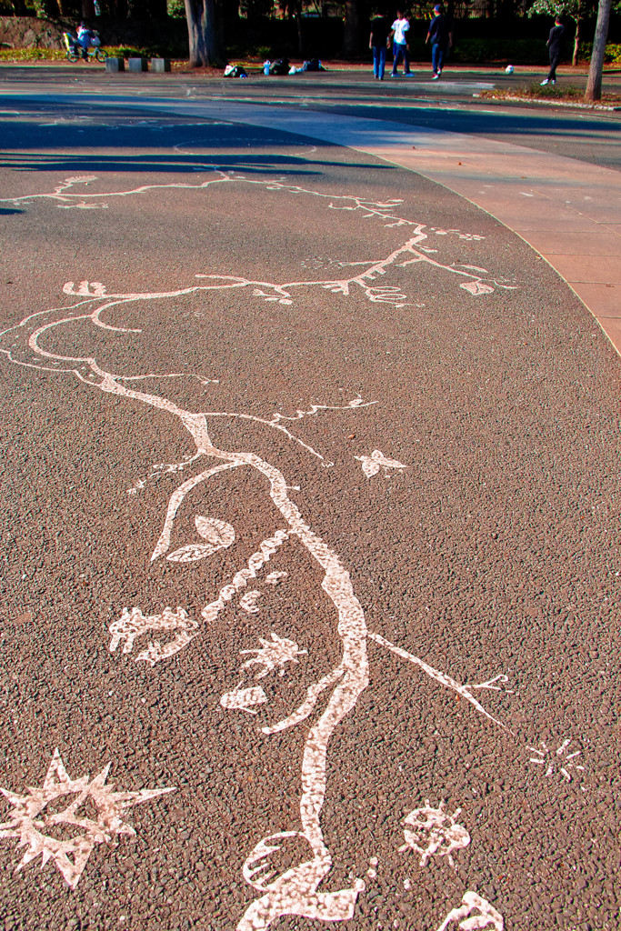 模様・スナップ