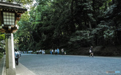 明治神宮の参道