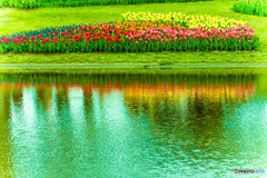 春の風景