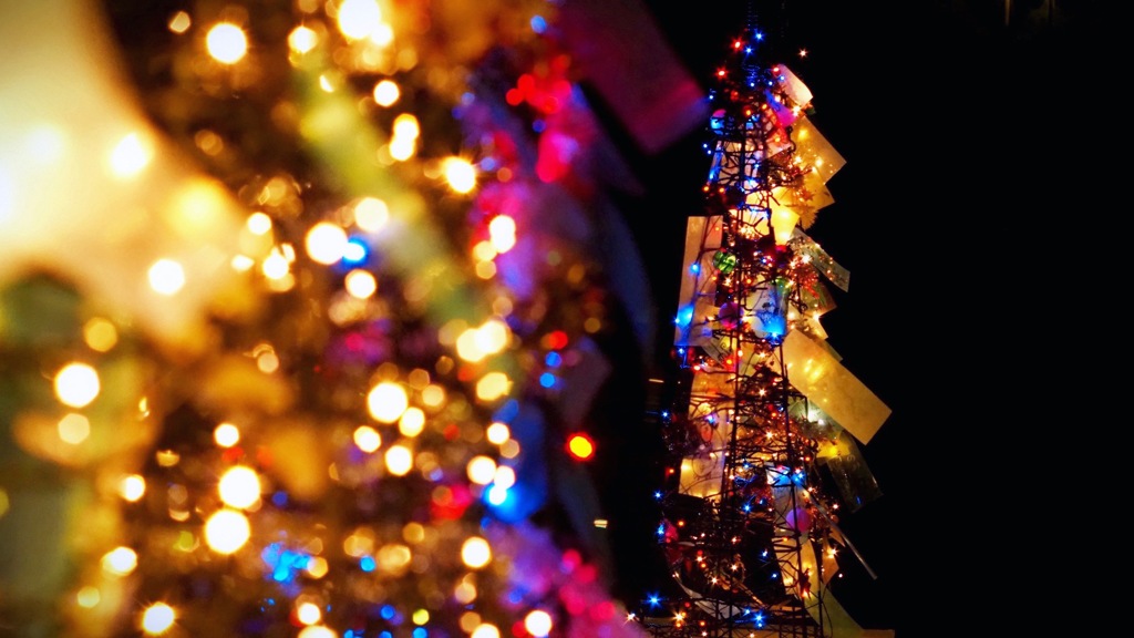 きらめきの並木道