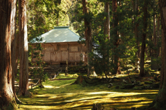 木漏れ日の社