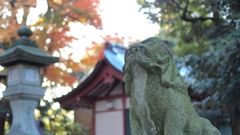 凛然、社を見据えて