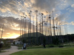 はじまりの空へ伸びる影