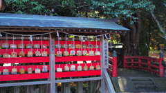 想いを結ぶ橋のほとり