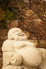 冬庭のほほえみ