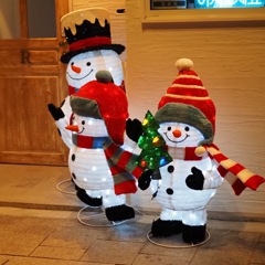 今夜はぼくらが看板娘