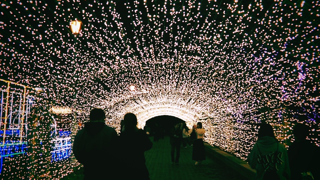 きらめきの道の先へ