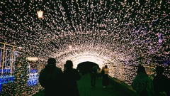 きらめきの道の先へ