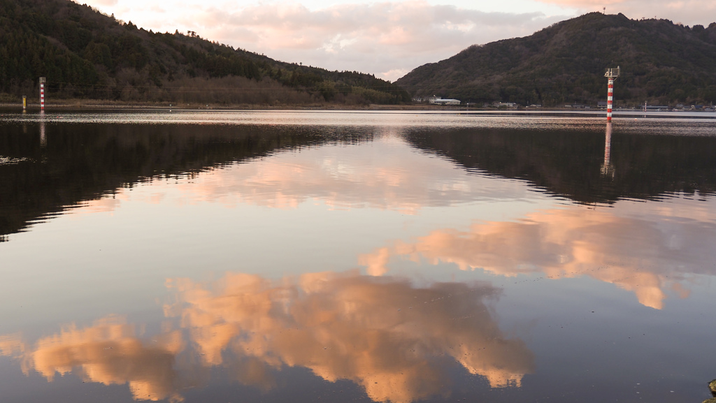 湖面に遊ぶどうぶつたち