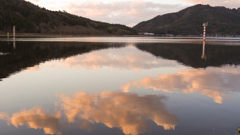 湖面に遊ぶどうぶつたち