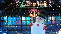 星降る夜の案内人