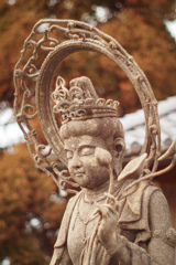 冬陽にとけるほほえみ