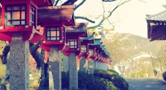 朱灯籠のやさしい道