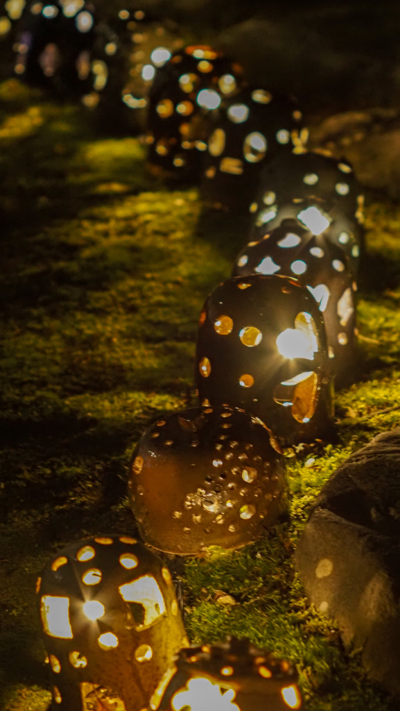 苔むす庭の灯しび