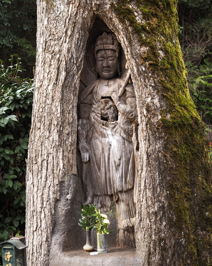 樹に宿る仏