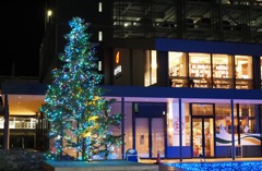 灯りが集う本と海の広場