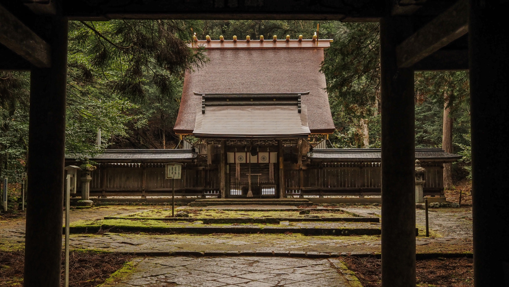 しっとりと雨後の鎮守