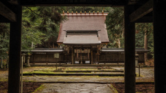 しっとりと雨後の鎮守