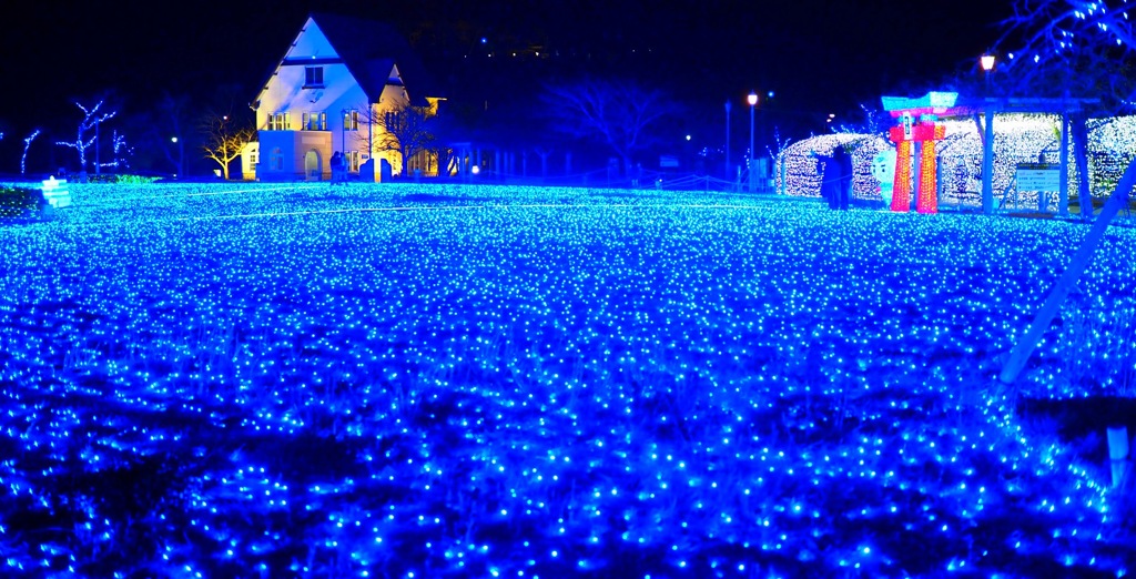 蒼の波間に灯る夜
