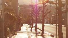 朝陽と夫婦と一匹と