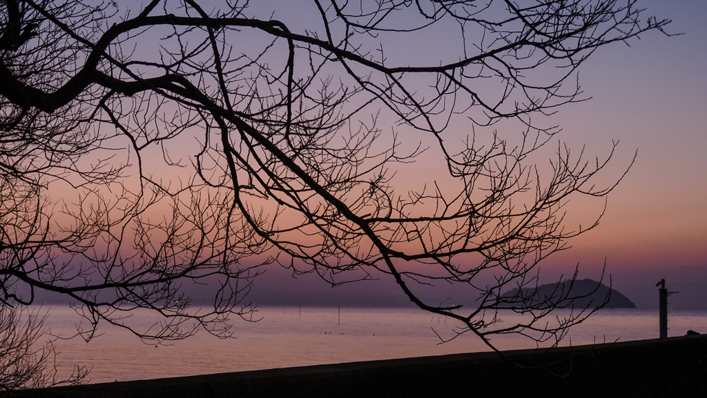 静かな湖に、細枝の詩