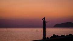 夕茜の見張り台