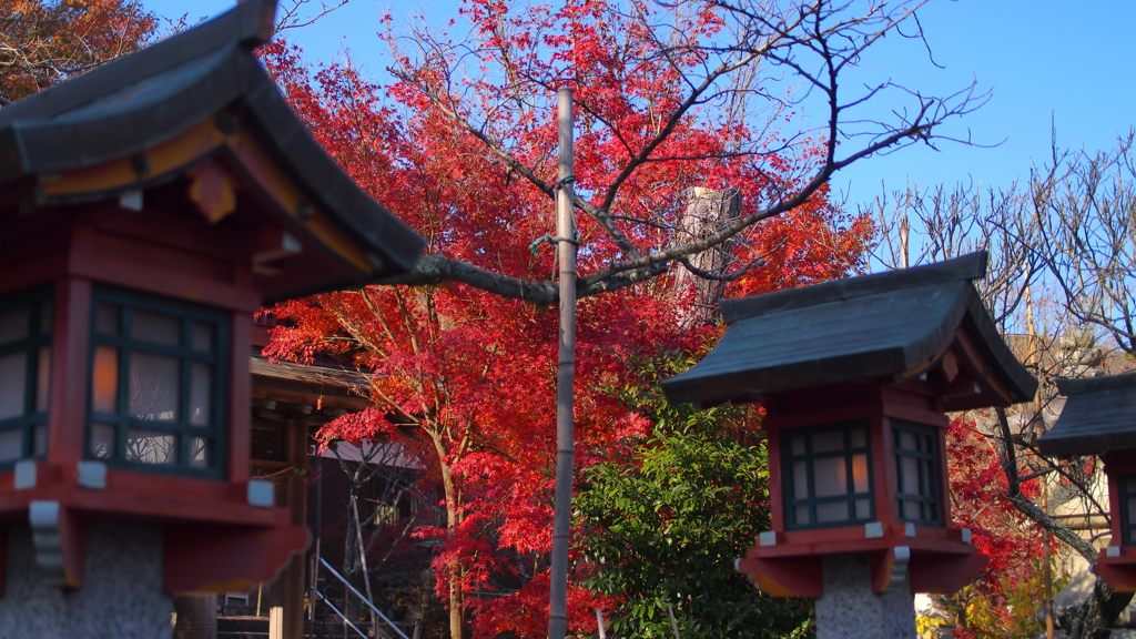 朱の灯籠、秋を照らして