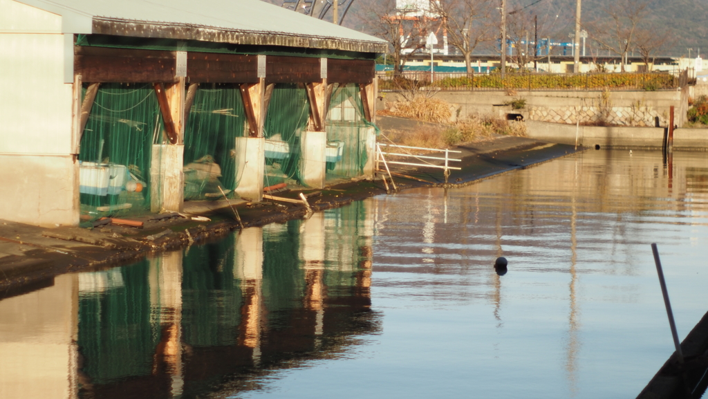 静かな船溜まりの朝
