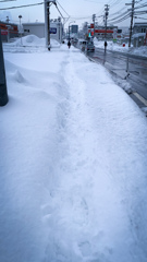 踏み跡のブルーロード