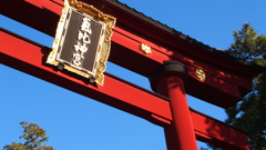 青空へ架かる気比の鳥居