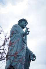 冬空にたゆたう