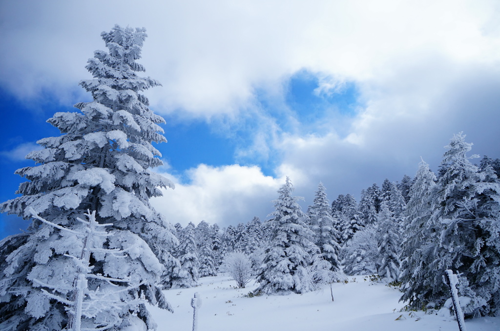 SnowGarden