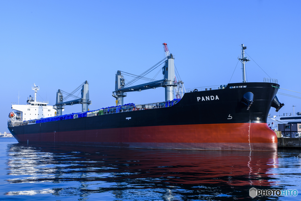PANDA